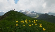 66 Botton d'oro in Cima Sasna con Recastello, Tre Confini, Gleno...